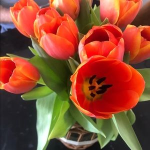 Meet your Posher, Adriana